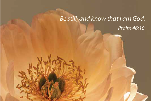 Be Still and Know Women's Christian Ministry theme